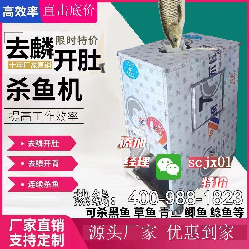 杀鱼机器全自动杀鱼全自动开肚开背去鳞All杀鱼机宰鱼机剖鱼鳞