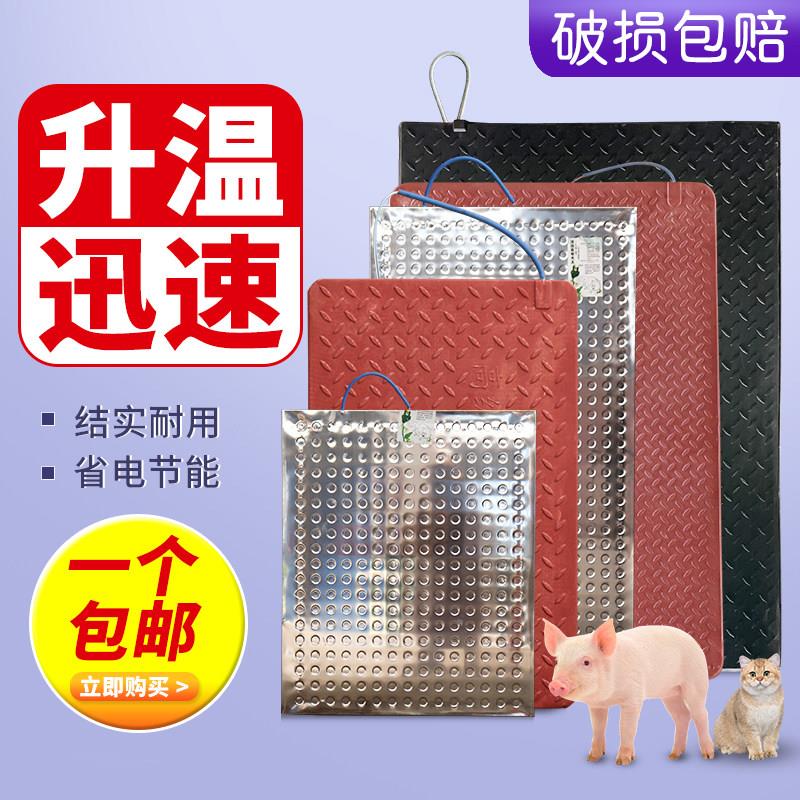 仔猪电热板兽用小猪宠物养殖场加热保温板不锈钢碳纤维猪舍狗取暖