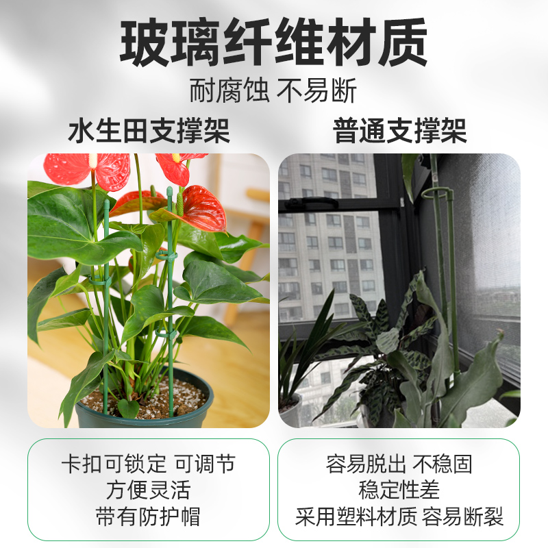 花支撑架花盆花架固定器蝴蝶兰花植物支撑杆园艺花卉支架杆防倒伏