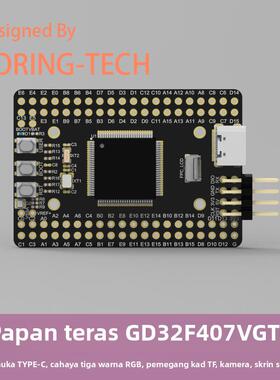 GD32F4开发板 GD32F407VGT6 核心板 系统板 国产 兆易 替代STM32