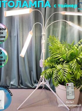 led12V植物生长灯补光灯支架夹子太阳光全光谱育苗多肉绿植植爆款