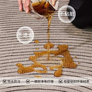 免洗可擦现代极简家用床边毯轻奢高级加厚沙发垫 地毯客厅2025新款