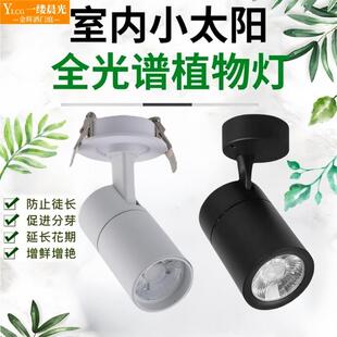 植物补光灯彷太阳全光谱室内专用绿植墙花卉生长灯LED光合作用灯