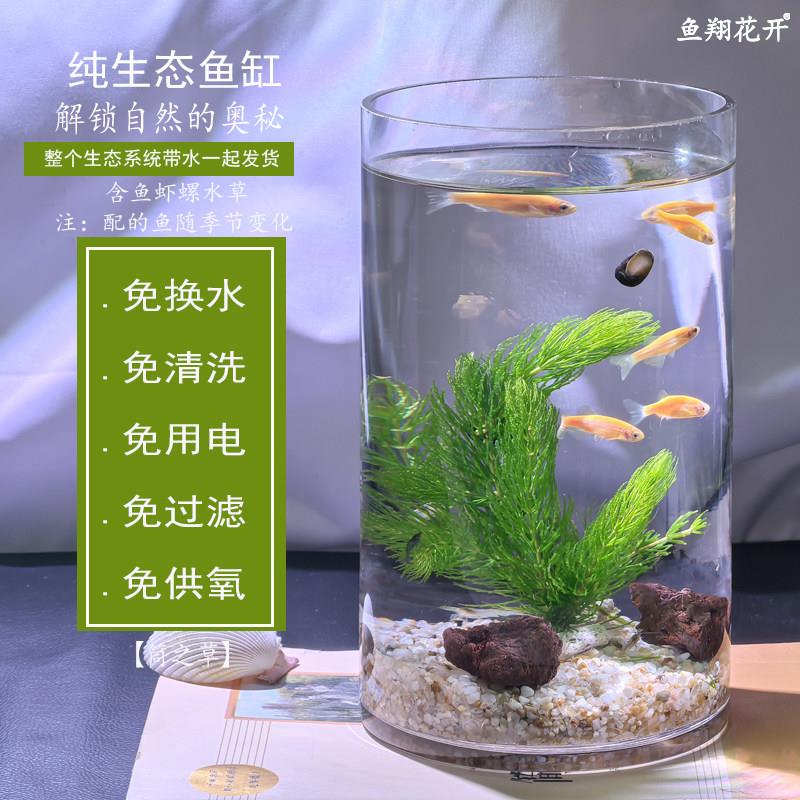 免换水懒人迷你桌面小型自循环生态玻璃小鱼缸观赏鱼餐桌办公室