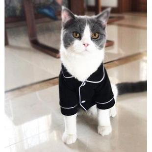 英短搞笑可爱猫睡衣居家变身装 猫咪衣服宠物夏季 斯芬克斯无毛猫