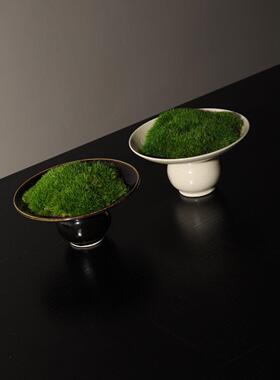 新中式永生苔藓植物盆景微景观书房样板房桌面摆件花艺盆栽
