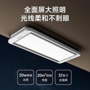 电动晾衣架小尺寸小空间升降金属晒衣架 邦先生M35侧装 补贴15%