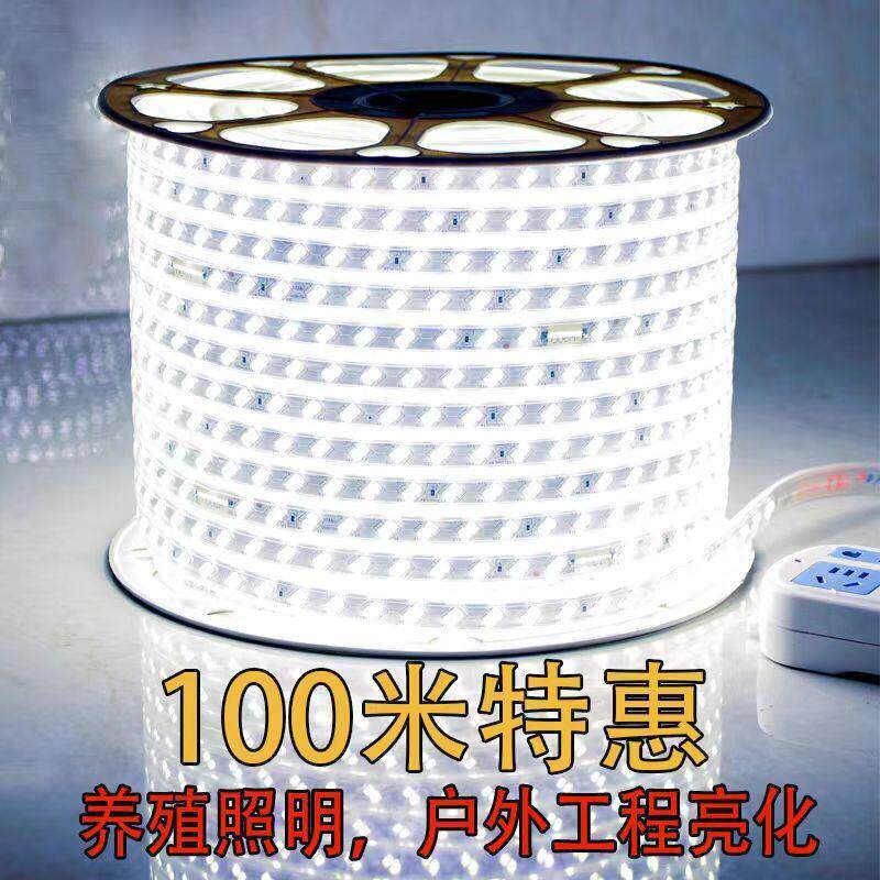 LED灯带100米220V户外工程照明户外防水培殖塔吊工地地下室灯带条