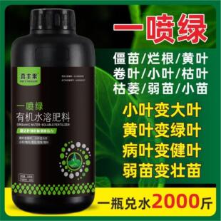 进口黄叶一喷绿叶面肥蔬菜家用营养液叶绿素绿叶通用型有机水溶肥