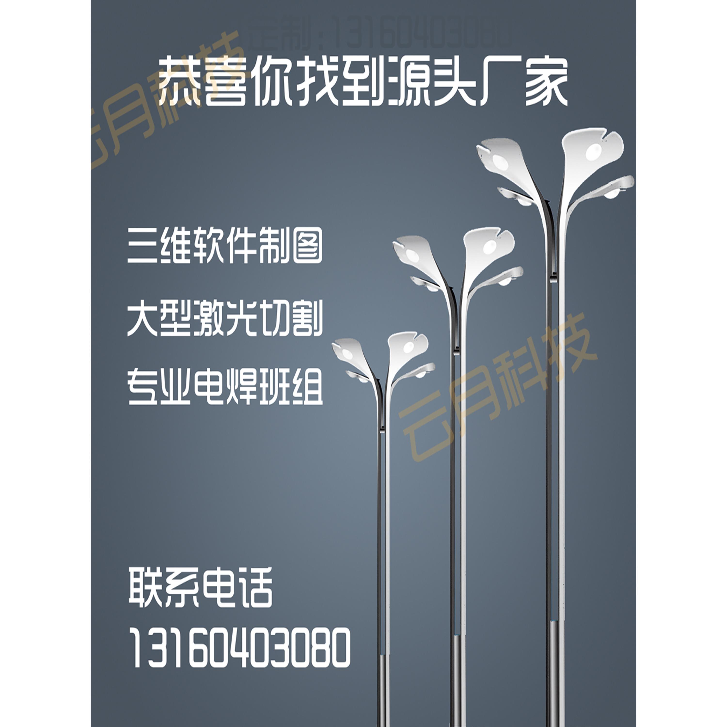 异形灯广场中华灯公园玉兰灯厂家道路景观灯现代造型路灯来图定制