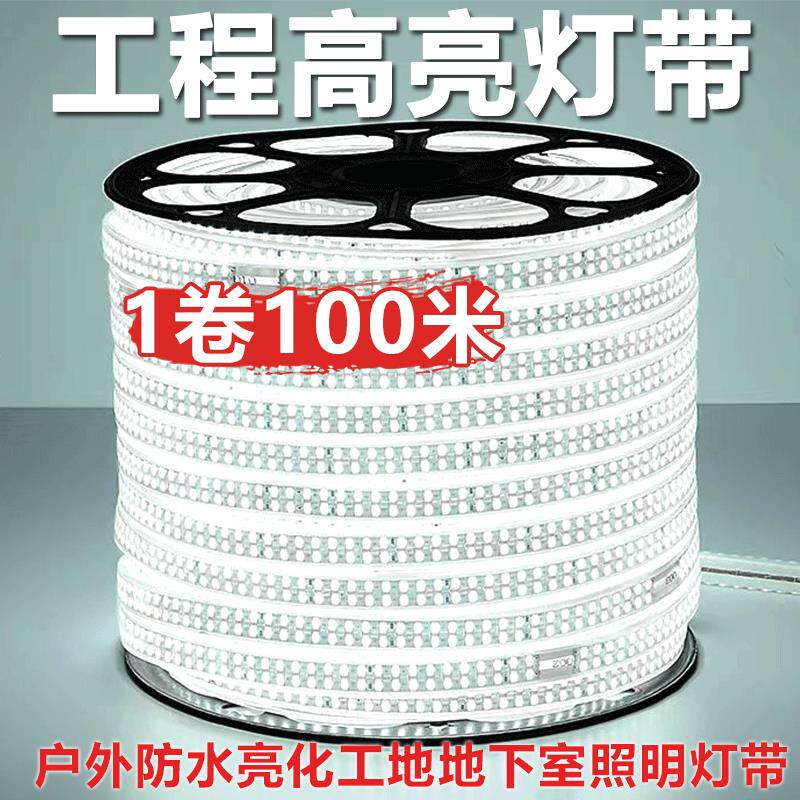 LED灯带220V户外工程照明户外防水灯条养殖塔吊工地地下室24V36V