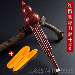 葫芦丝器初学入儿童bc调小学生降调专业演奏型胡门芦丝乐乐器 正品