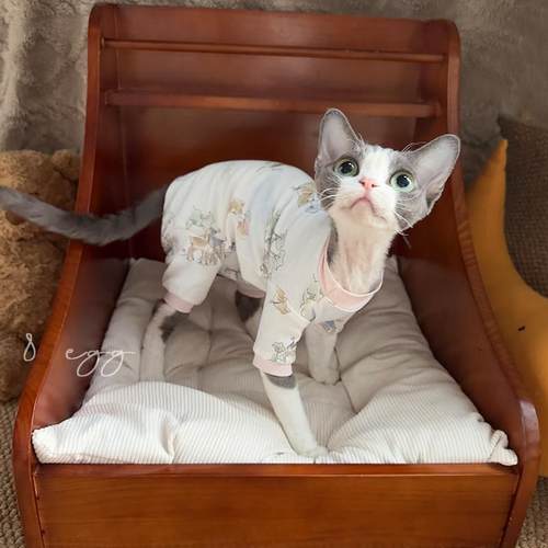 8 EGG/德文四脚包肚衣 原创自制德文衣服阿比无毛猫衣服内搭四脚