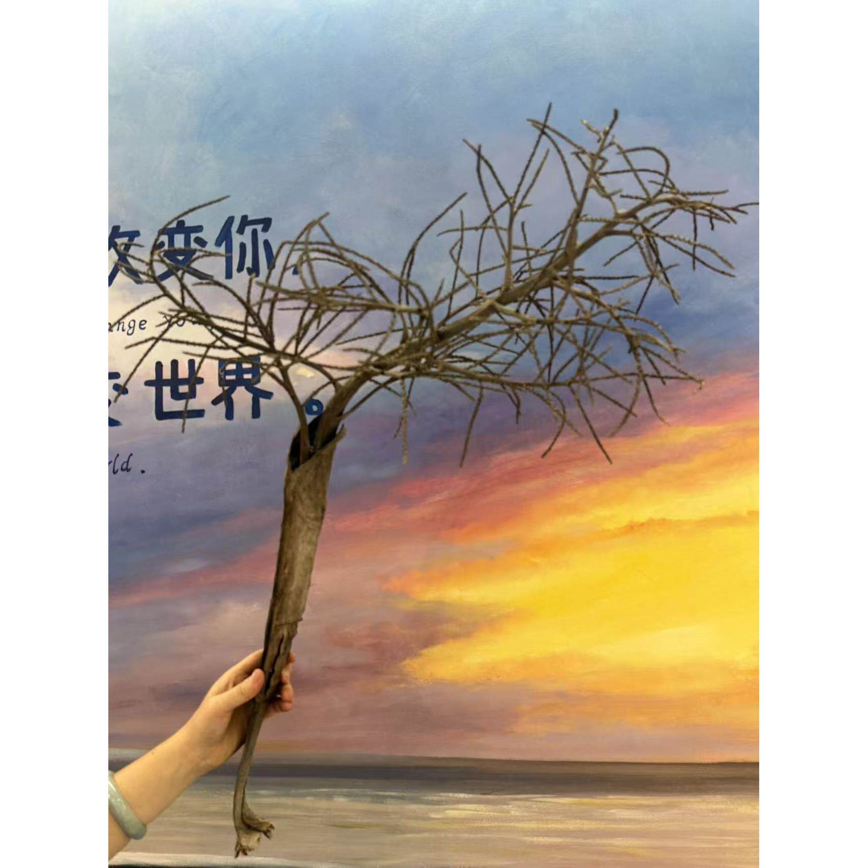 干花槟榔枝样板间家居软装装饰北欧风园艺插花花材干花