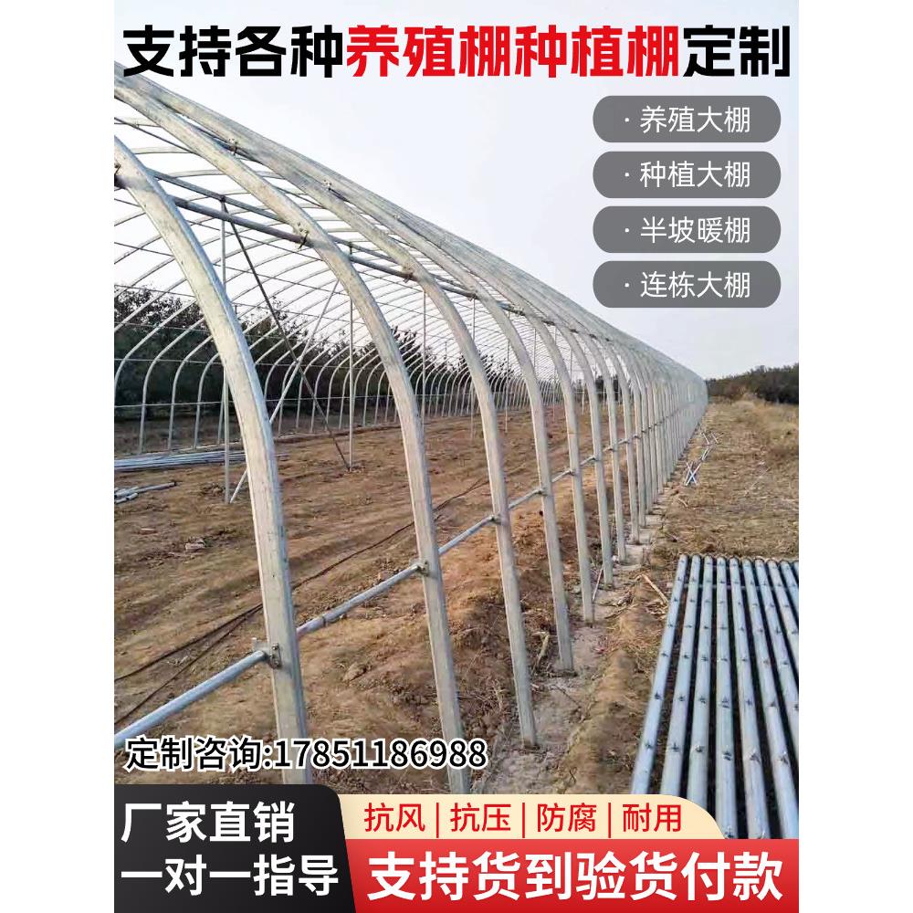 大棚骨架钢管温室大棚种植蔬菜养殖全套连栋棚半坡棚椭圆管大棚