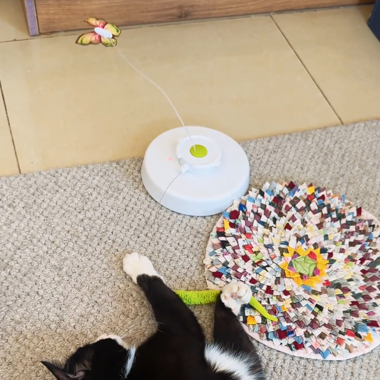 宠物逗猫棒自动趣味互动小猫咪自嗨消耗体力用具新款2026