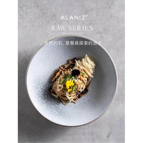 Alaniz Nanz生斯堪的纳维亚石图案浅口碗陶瓷碗单一家庭水果沙拉