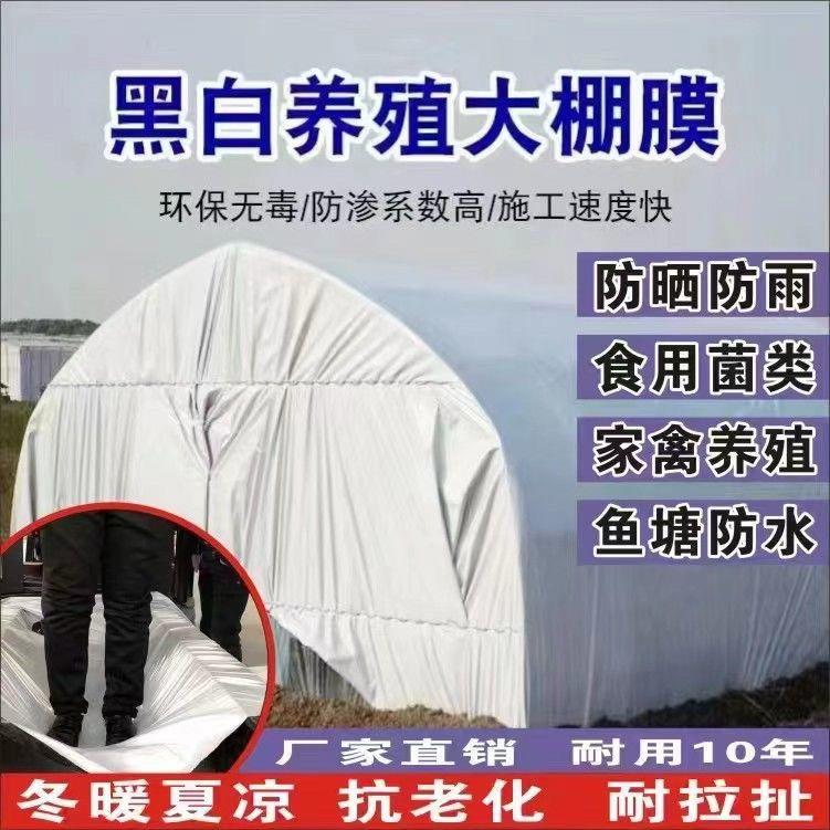 进口黑白膜加厚养殖大棚黑白膜反光防晒隔热膜塑料布食用菌绿白膜