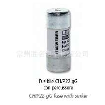 ITALWEBER 熔断器 22*58 690V CH22 am 63A 1442063 保险丝 品质