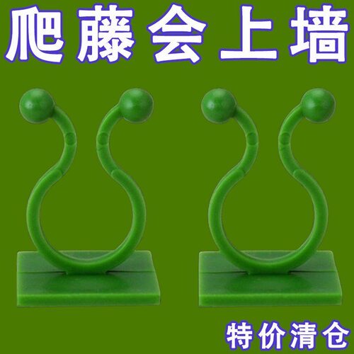 绿萝爬墙固定器无痕卡