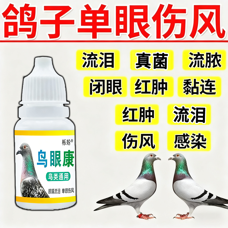 鸽子单眼伤风眼流泪肿胀闭眼流泪信鸽赛鸽幼鸽专用滴眼液