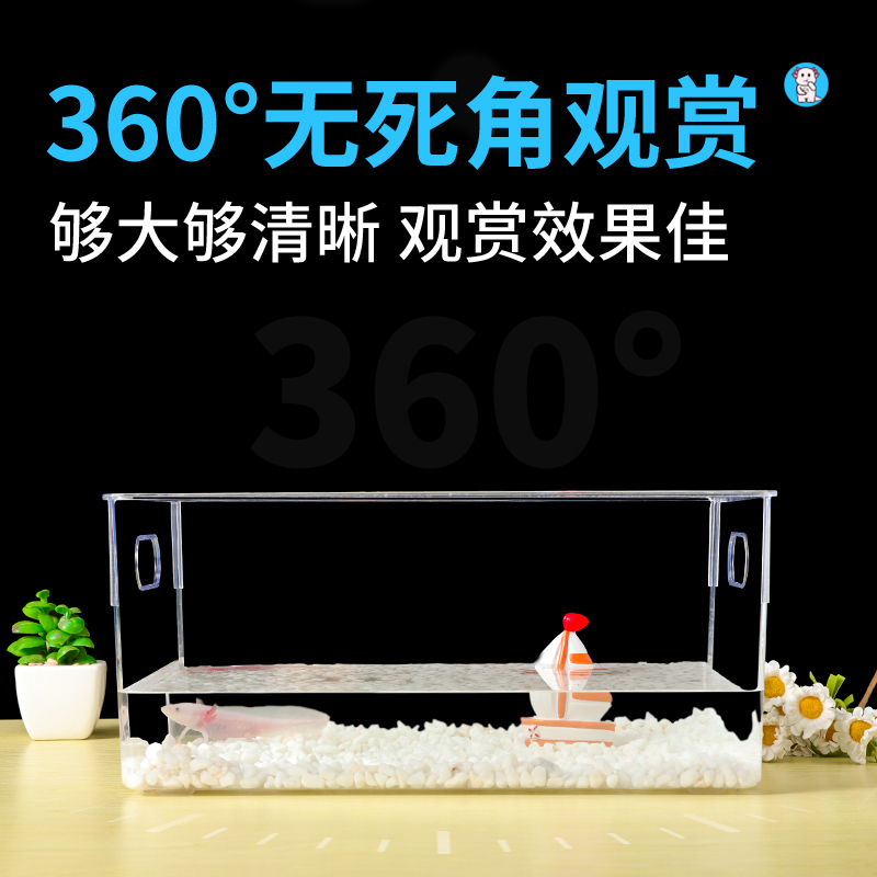 六角恐龙鱼缸养蝾k螈的饲养鱼缸宠物小型观赏鱼生态造景躲避屋