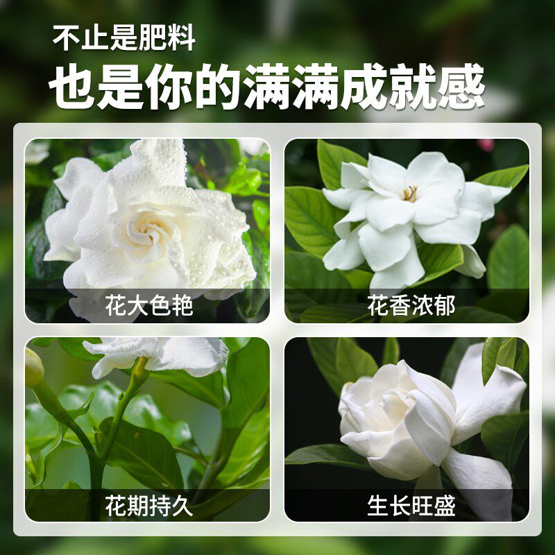 栀子花专用肥营养液开花植物肥料家用F养花专用盆栽通用型酸性花