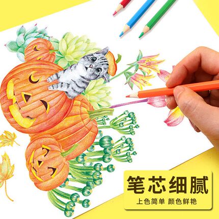 折叠包彩铅小学生画画专用48色油性水溶性彩色铅笔2y4色手绘涂色