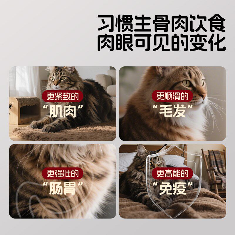 冻干猫零食猫爪生骨肉饼猫咪零食鸡肉冻干磨牙P营养增肥猫草火龙