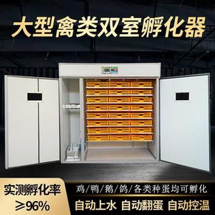 新伟达孵化器全自动孵化机大中小型家用孔雀鹅鸭鸽子孵化箱孵蛋器
