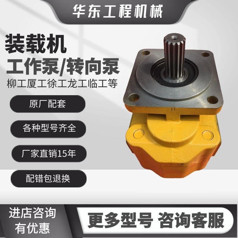 50装载机转向泵工作泵柳工临工龙工徐工30堆高机行走泵齿轮泵液压