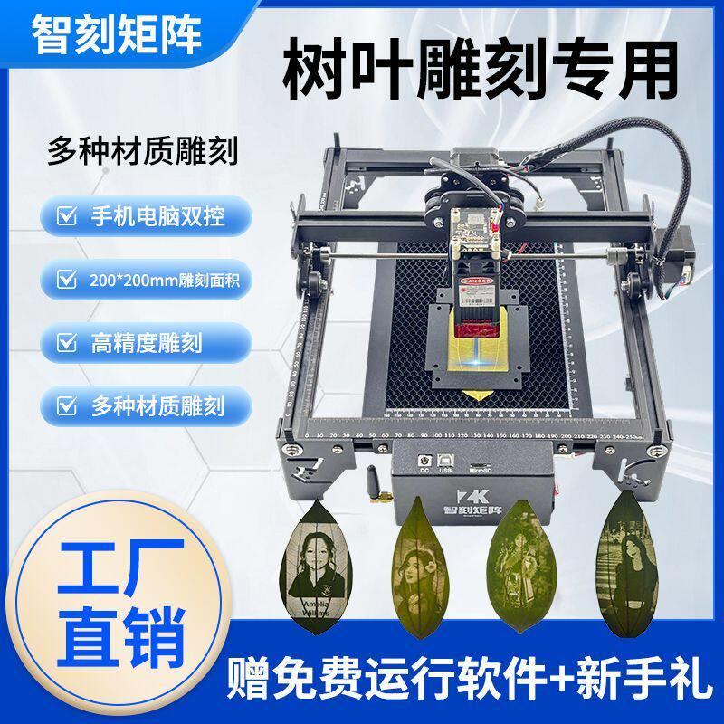 叶雕机树叶激光雕刻机小型全套便捷摆摊雕刻照片不锈钢木板打标机