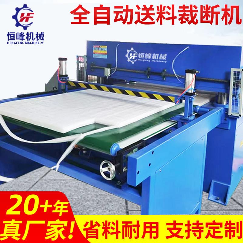 珍珠棉单双边送料裁断机海绵皮革裁断机全自动精密四柱液压下料机