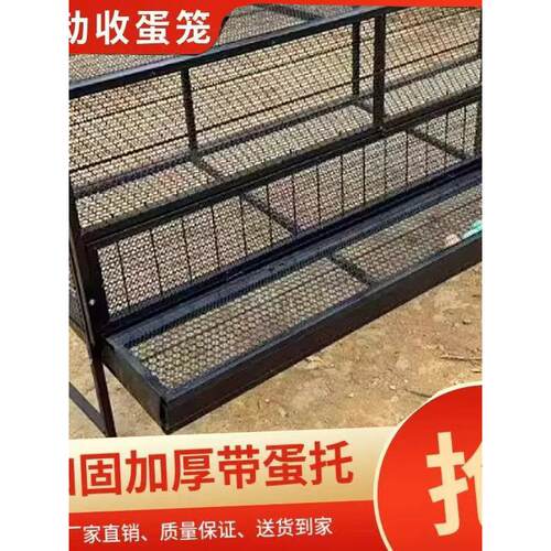 鸡笼家用室内室外铁丝网大号防雨防黄鼠狼下蛋笼自动滚蛋笼养殖笼