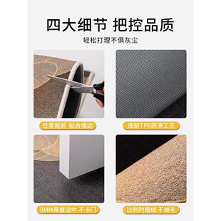 入户门地轻奢高垫级门口进玄DZI门入门垫家门用脚垫防滑免打理地