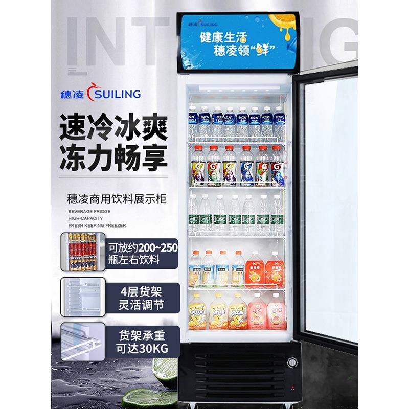 LG4-202L立式冷柜冰柜商用单温直冷双门饮料保鲜冷藏展示柜