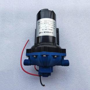电动隔膜泵DP 12V24V直流增压泵循环冷却泵扫地车喷水泵