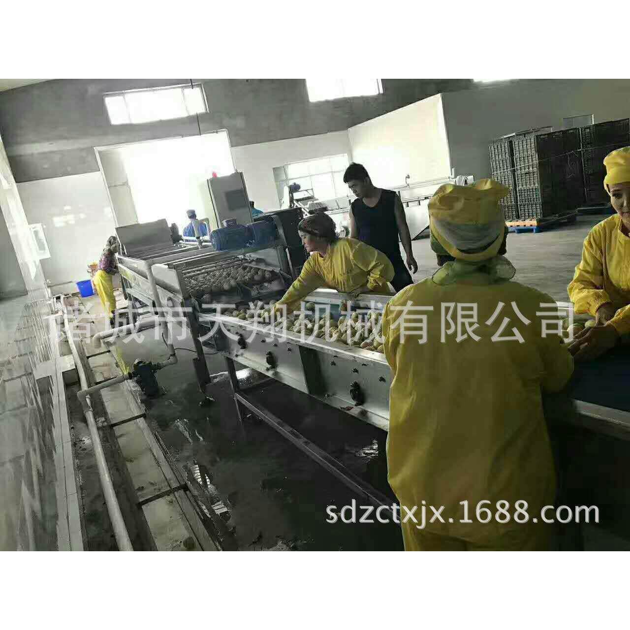 天翔新品推出果蔬清洗漂烫流水线货真价实 客户认定