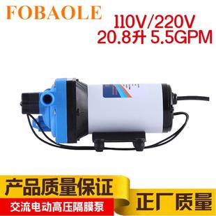 5.5GPM大流量110V交流电动隔膜泵220V灌溉增压园林喷雾自吸抽水泵