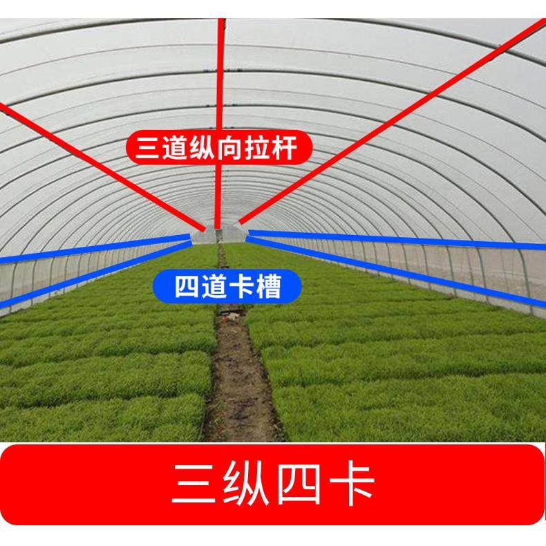 种植大棚骨架钢管温室定制暖棚鸡鸭猪养殖全套钢架蔬菜大棚简易