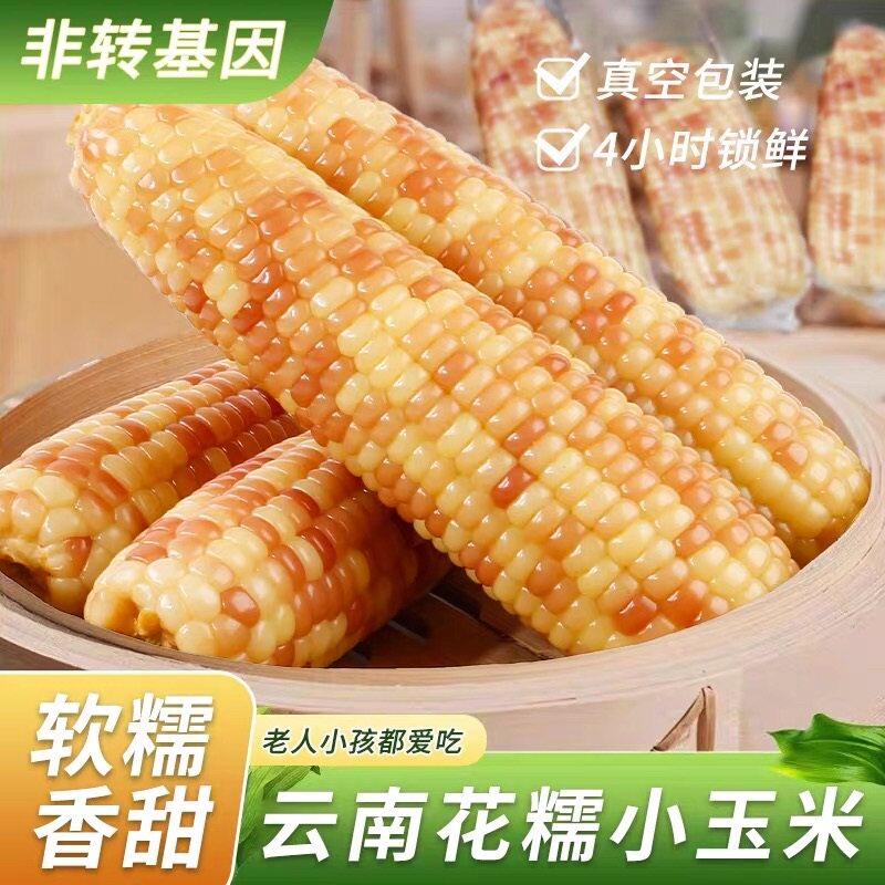 西双版纳香糯小玉米小花糯玉米新鲜现摘即食真空装甜玉米棒子早餐
