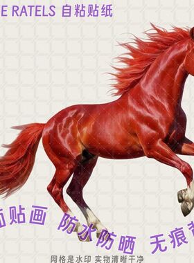 红色骏马赤兔马生肖抠图贴画车贴