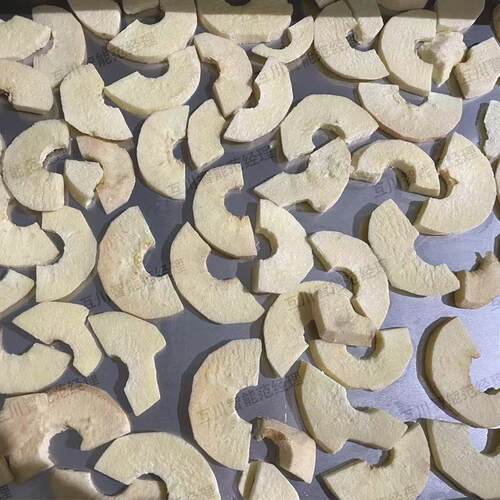 圆筒式品级冻干设备天水MUY花食牛苹干果真空冷冻干机白燥兰瓜冻
