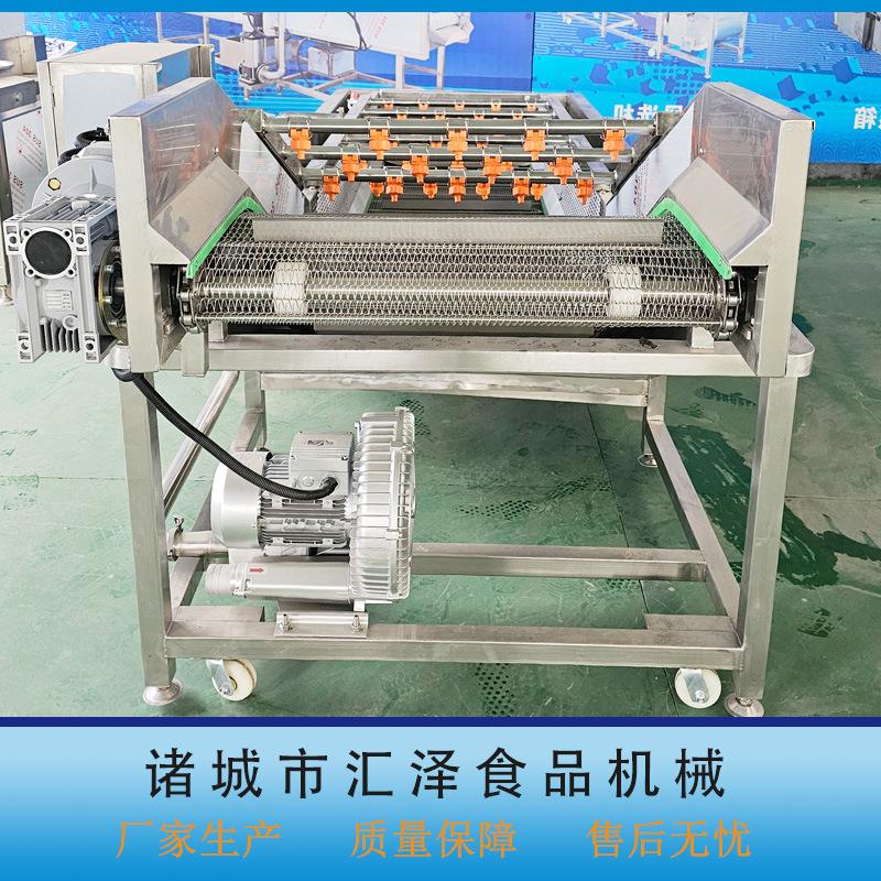 全自动喷淋式葡气萄橙子泡清锈洗不钢果蔬清洗流水机线加工AMG设