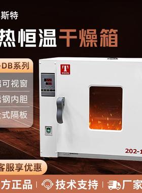 101-1DB/2DB/DB 电热鼓风干燥箱 实验室小型烘箱