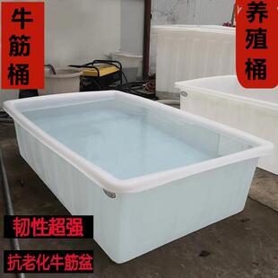 300升牛筋龟鱼养殖水箱500kg长方形周转桶2200升泡瓷砖熟料方盆