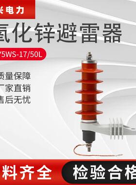 配电型10KV氧化锌避雷器HY5WS-17-50L高压带脱离器防雷