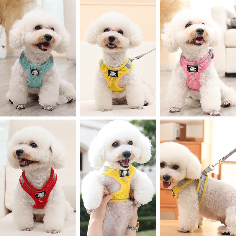 背心式狗狗牵引绳小型犬泰迪比熊博美胸抱婴袋小狗幼犬遛狗绳狗炼
