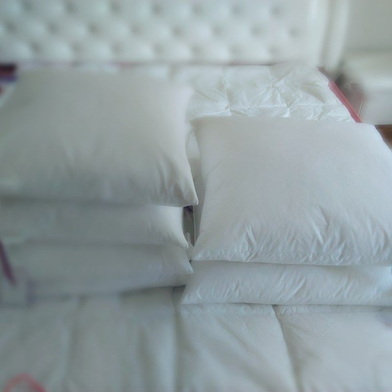 羽绒靠垫沙发抱枕芯护颈方枕羽毛汽车靠被沙发枕鸭毛鹅毛填充饱满,居家布艺,靠垫/抱枕,淘宝优惠券,粉丝福利购,淘宝优惠卷