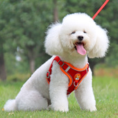 狗绳子牵引绳小型犬背心式 胸背带泰迪比熊博美遛狗绳狗链子狗用品